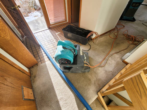 Best Sewage cleanup and water damage restoration  in Pukalani, HI