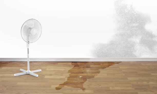 Trusted Pukalani, HI Water damage restoration Experts