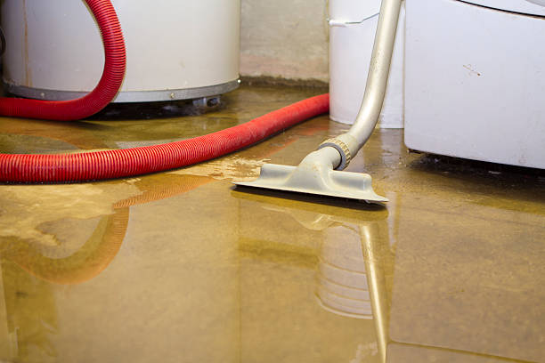 Best Water damage restoration near me  in Pukalani, HI