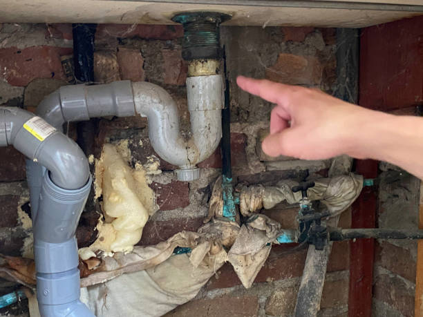 Best Water damage mitigation services  in Pukalani, HI